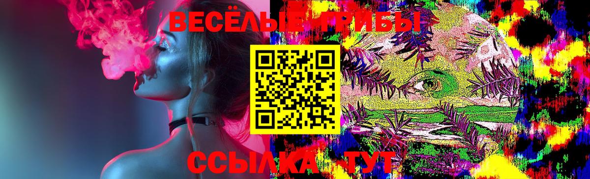 Псилоцибиновые грибы GOLDEN TEACHER Белебей