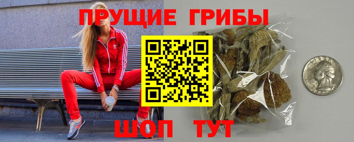 Белебей  Галлюциногенные грибы Psilocybe  Вход с VPN 